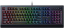 Razer Cynosa V2 Gaming Keyboard - Membrane / Eng / Black 